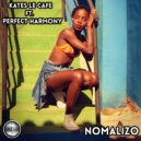 Kates Le Cafe Ft Perfect Harmony - Nomalizo