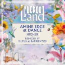 Amine Edge & DANCE - Higher (Illyus & Barrientos Extended Remix)