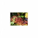 Mindfulness Healing Sleep BGM Project - Exit and Self pleasure (Sleep BGM)