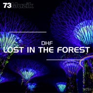 DHF - Lost In The Forest