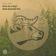 Marco Bedini - Meesing