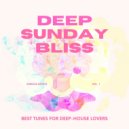 Dub Fundation, R-Slane - Trip Love