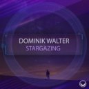 Dominik Walter - Stargazing (Radio Mix)