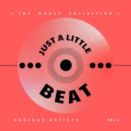 Mood Collective - Alligator