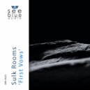 Sulk Rooms - The Witness Is The Unknown Caller (Original Mix)
