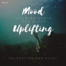 Joop van der Knaap - Peaceful Easy Feelings (A Chill Piano Song) (Short Version)