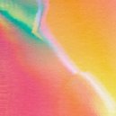 Vortex Count - Lamina