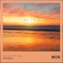 Content of Void - Amnesia (Original Mix)