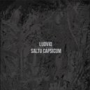 Ludviq - Saltu Capsicum (Hanzo goes Salto Mortale Remix)