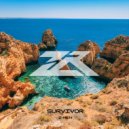 Z-MEN - Survivor (Original Mix)
