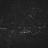 FlyDying - Torpor