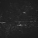 FlyDying - Torpor