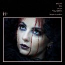 Night On Wish Mountain - Burgundy Pleather (Original Mix)