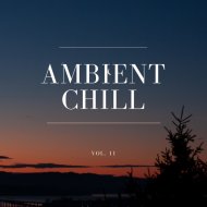 Chill Carrier - Time To Go