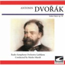 Radio Symphony Orchestra Ljubljana - Virgo virginum praeclara - Largo ()