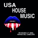 Dr. House & F.Smid - USA House Music