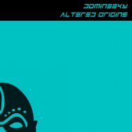 Domineeky - 0800 Domineeky