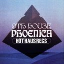 9th House - Phoenica (Loods Remix)