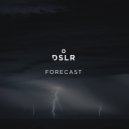 DSLR - Forecast (Original Mix)