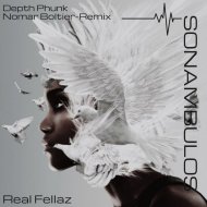 Depth Phunk - Real Fellaz
