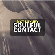 Alan de Laniere - Into The Air