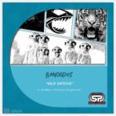 Band&dos - Wild Groove