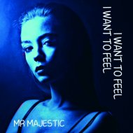 Mr Majestic - I Want To Feel