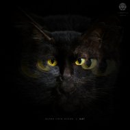 Burak Eren Ozcan - Cat