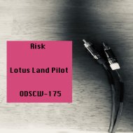 Lotus Land Pilot - Risk