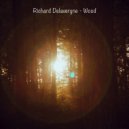Richard Delavergne - Wood