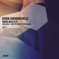 Koen Groeneveld - Indelible