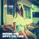 Disco Secret - During The Hippy Culture