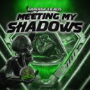 Shadow Leads - Dark Runner - 172 bpm (Original Mix)