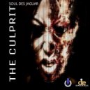 Soul Des Jaguar - Feelings (Original Mix)