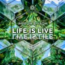Imprum & Vaqm - Pure Breaks (Original Mix)