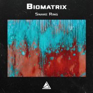 Biomatrix - Witch