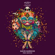 Gavin Hardkiss - Perc Groove