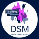 Vedritunes - Bottom Line