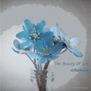 Afternova - The Beauty Of Life (Extended Orchestral Trance Mix)