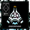 LOST WKEND - Endorphins