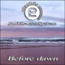 Puddle EcoSystem - Before Dawn