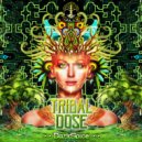 DarkSpice - Western Wodabee (Original Mix)