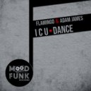 Flamingo, Adam James - I C U Dance