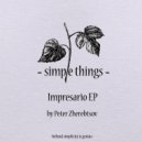 Peter Zherebtsov - Sofism (Original Mix)