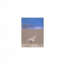 Mindfulness Healing Sleep BGM Project - Resonance & Stress Free (Sleep BGM)