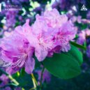 AstroPilot - A Fleeting Glimpse Of Beauty