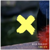 Acid Project - Time BTR