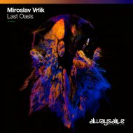 Miroslav Vrlik - Last Oasis