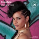 Goosebump - What You Need (Extended Instrumental)