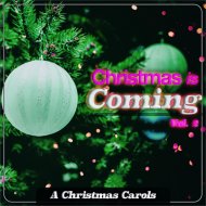 The Christmas World Band - The Christmas Song (Chestnuts Roasting On An Open Fire)